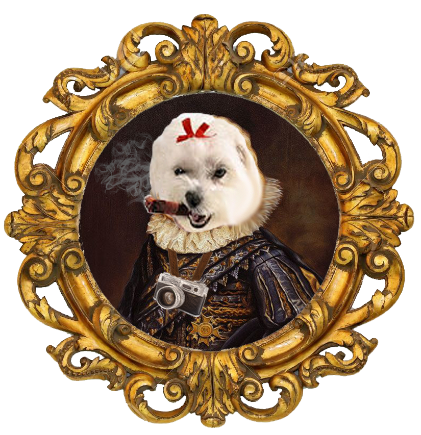 Yuppy Puppy Grooming logo